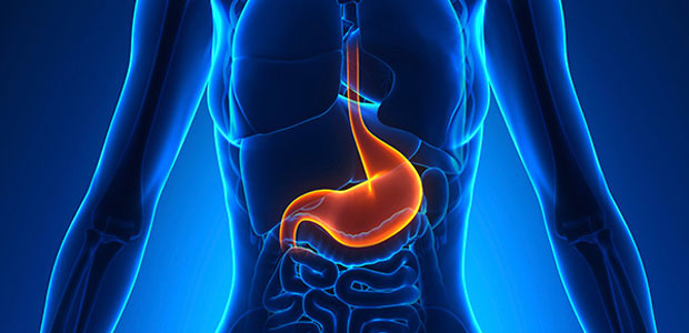 Stomach cancer,Symptoms of stomach cancer,Examination methods of stomach cancer