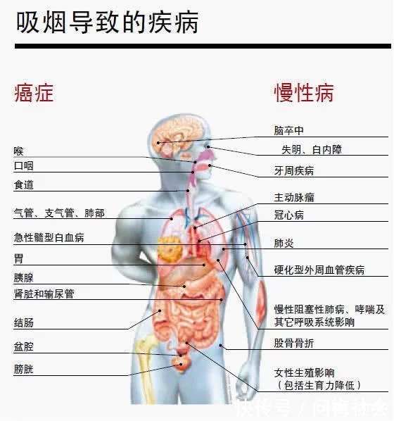 烟的危害.webp.jpg