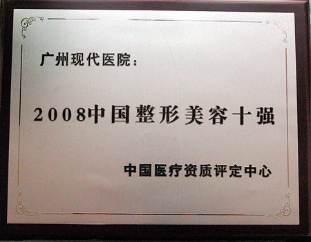 2008年中国整形美容十强